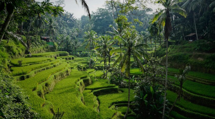 digital nomad hostels Bali